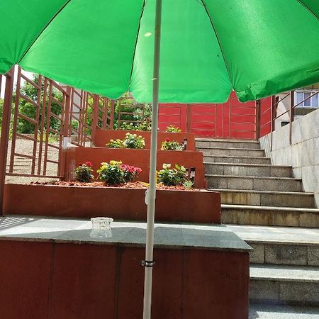 Garsoniera Alex Lägenhet Cluj-Napoca Exteriör bild