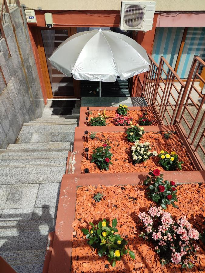 Garsoniera Alex Lägenhet Cluj-Napoca Exteriör bild