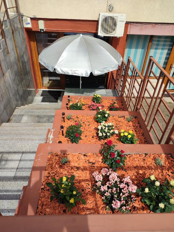 Garsoniera Alex Lägenhet Cluj-Napoca Exteriör bild