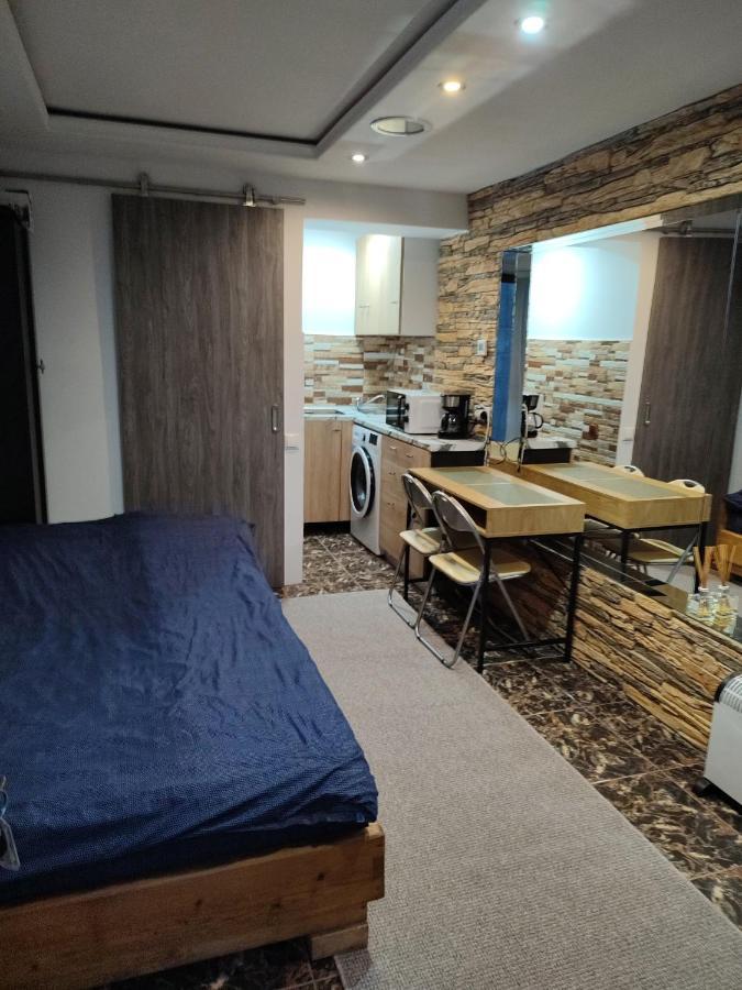 Garsoniera Alex Lägenhet Cluj-Napoca Exteriör bild